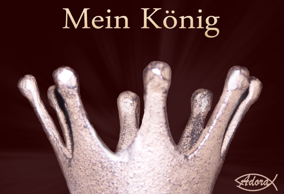 Mein König: Cover